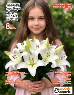 Лилия Луковица, Микс белые, 8 шт