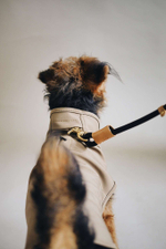 Попона "Пони-попони" песочная