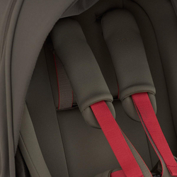 Детская коляска Anex Flo 2 в 1 Cesar