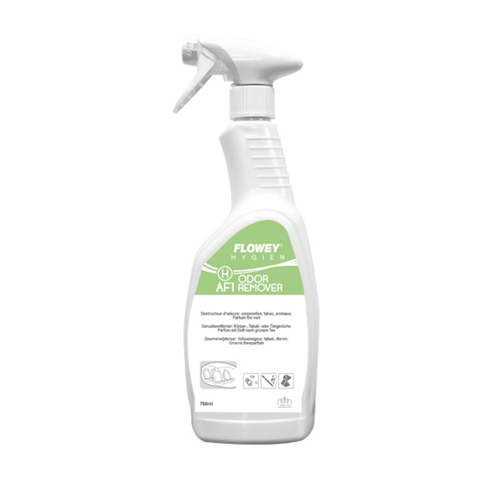 Уничтожитель неприятных запахов в салоне автомобиля ODOR REMOVER, флакон 750мл. c ароматом зеленого чая, FLOWEY (Люксембург)