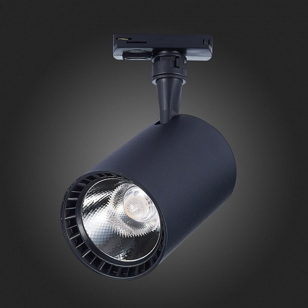 Светильник на штанге ST-Luce Cami ST351.436.30.36