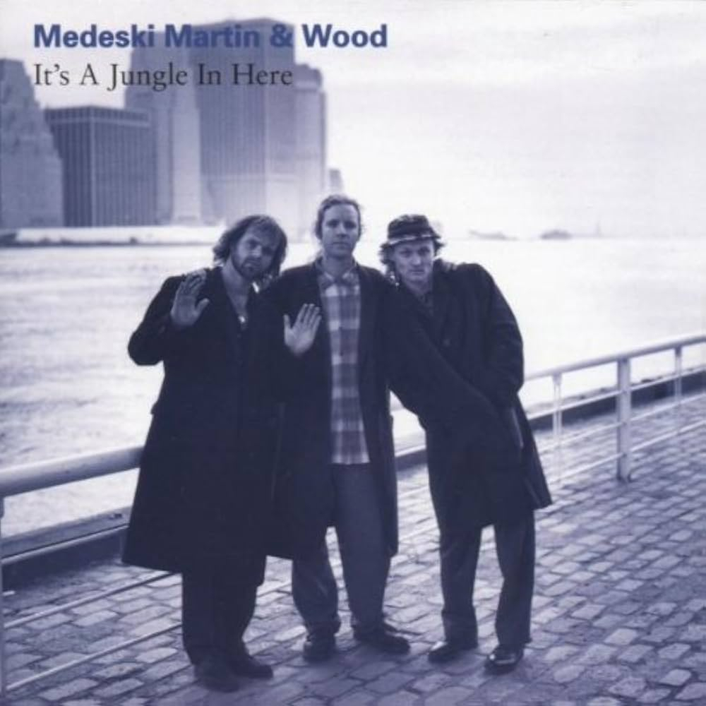 Medeski, Martin & Wood - It's A Jungle In Here - USA
