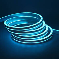 Лента LED неоновая с блоком 5-метров Огонек OG-LDL47 Голубая