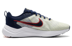 Кроссовки Nike Downshifter 12