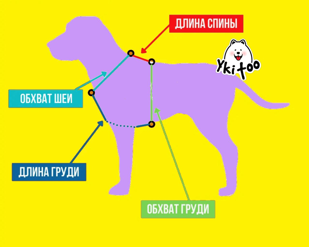 Шлейка для собак с ручкой перехват из биотана водонепроницаемая , 25 мм , М размер, золотой шимер , серый