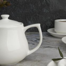 Чайник 450 мл d 10,1 см h11 см с фильтром белый фарфор P.L. Proff Cuisine [1]