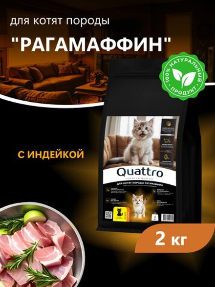 Корм сухой для котят породы РагаМаффин, с индейкой, 2 кг, QUATTRO