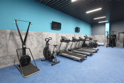 Лыжный тренажер Hasttings EXPIRIENCE SKIERG