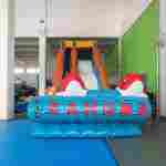 Надувная наземная водная горка «Красные рыбки», 11*4*6 м