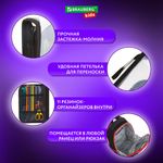 Папка для труда на молнии BRAUBERG KIDS А4, 1 отделение, прозрачная, органайзер, "Red car", 272209