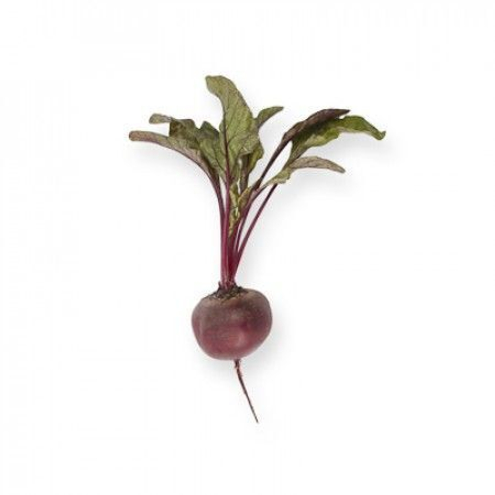 Ларка семена свеклы (Rijk Zwaan / Райк Цваан)