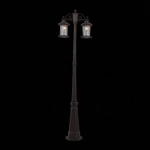 SL080.425.02 Светильник уличный наземный ST-Luce Темный кофе/Прозрачный, Темный кофе E27 2*100W LASTERO