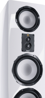 Magnat Signature 909