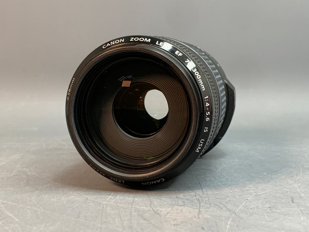 Canon EF 70-300mm 4-5.6 IS USM