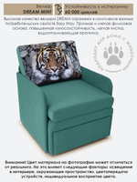 Кресло-кровать "Миник" с подлокотниками Dream Mint купон Тигр