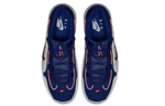 Кроссовки Nike Air Max Penny Usa