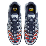 Кроссовки Nike Air Max Plus Drift