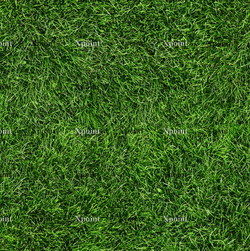 Микровелюр Xpoint (Икспоинт) 0053.01 Сочная трава