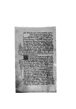 Очерк истории чешской литературы | А. Степович