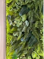 Папоротник остролистный ветка 130 см.