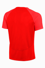 Футболка Nike Dry Academy Pro SS