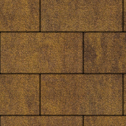 Тротуарная плитка ПРЯМОУГОЛЬНИК 600х300 мм - Листопад гранит Янтарь