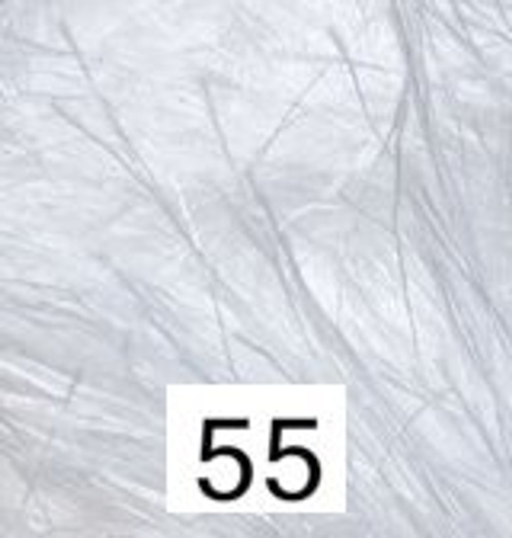 55