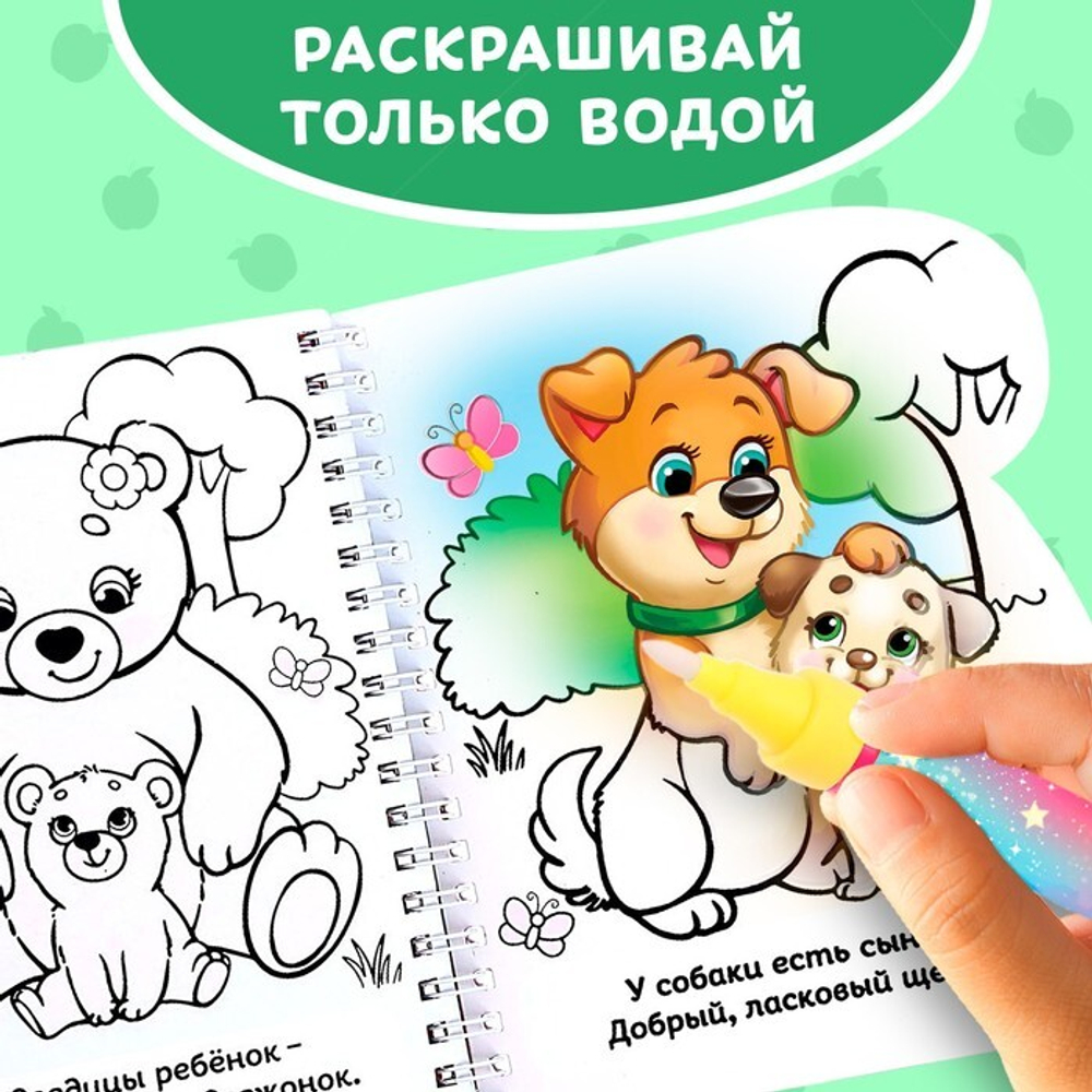 Водная раскраска с маркером м заданиями «Рисуем водой. Кто чей малыш?»