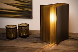 Настольная лампа декоративная Lucide Extravaganza Livret 78596/01/30