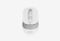 A4Tech Fstyler FB10CS_0126522101948