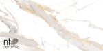Керамогранит Calacatta Light Grey NTT9121P 600*1200мм полированная