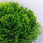 Цветочная композиция «Green garden» 10*12см в горшке, туя