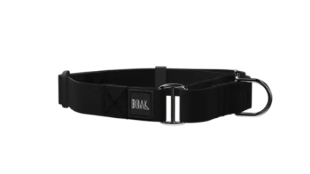 Ошейник Color Block