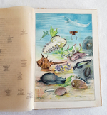 "В глубине вод". А.Шлейер. 1912г. - антикварное издание