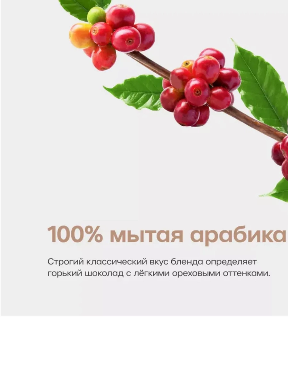 Кофе растворимый BUSHIDO Original 100 г