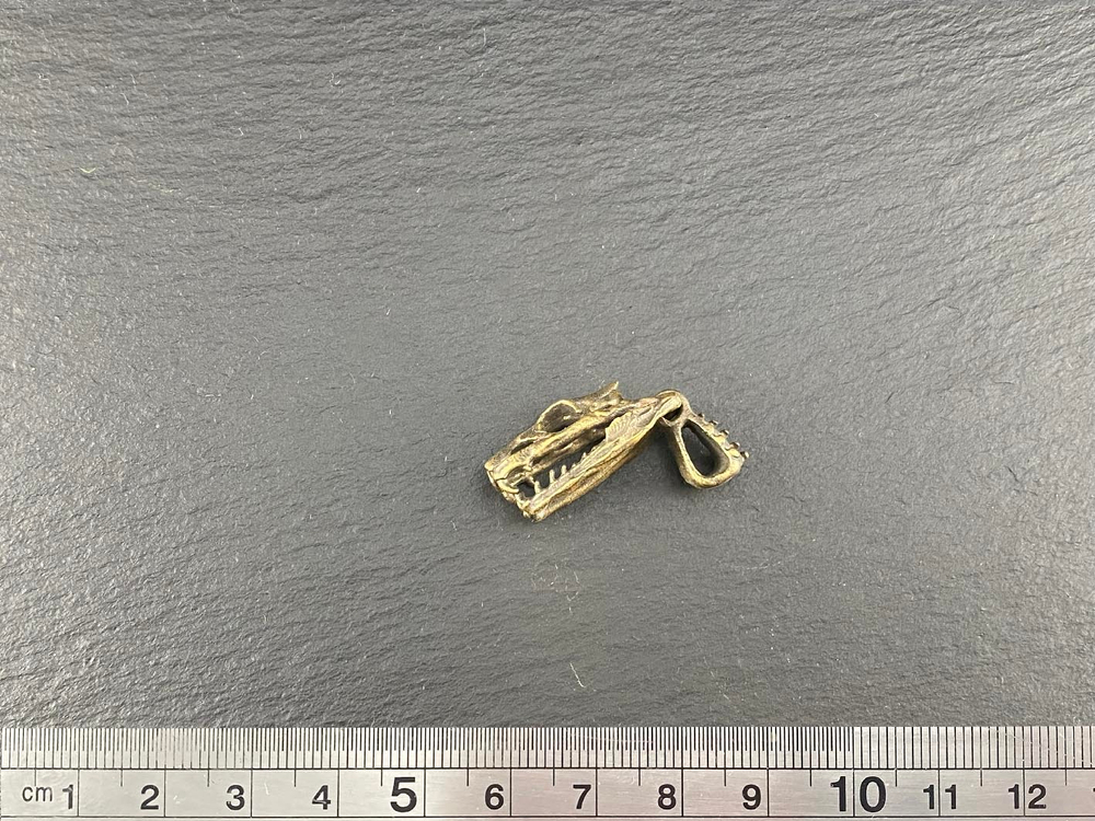 Подвеска. Череп змеи