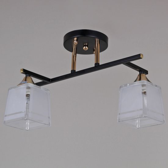 46460-0.3-02 BK+FG светильник потолочный