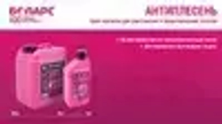 Грунтовка Антиплесень 1 кг от плесени и грибка