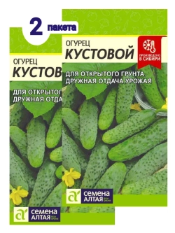Семена Огурец Кустовой