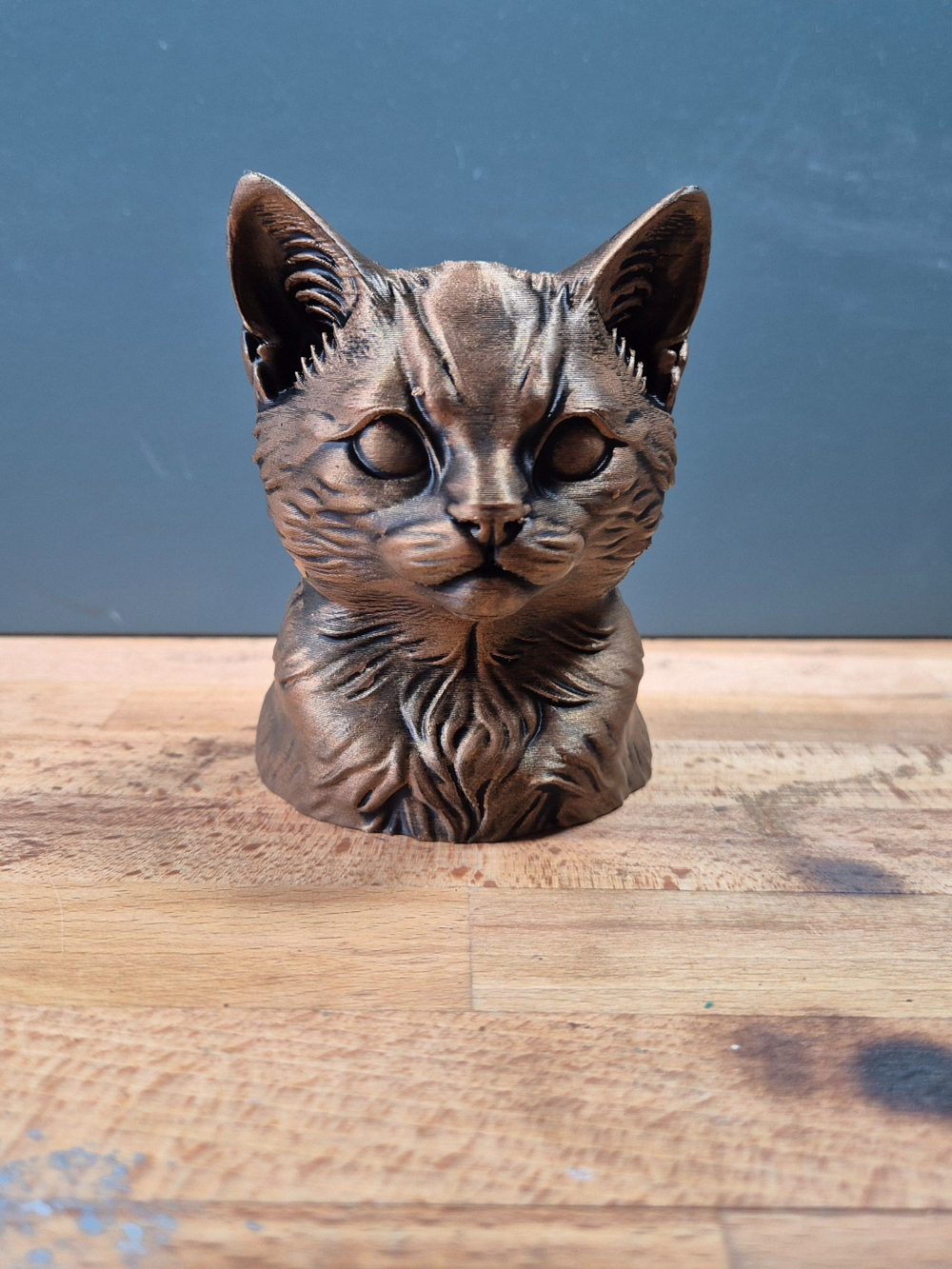 Котенок