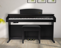 Цифровое пианино Artesia DP-10E Rosewood, палисандр