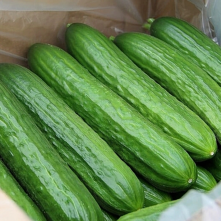 ОГУРЦЫ (Вес)