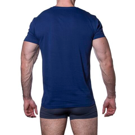 Мужская футболка синяя Sergio Dallini SDT750-4