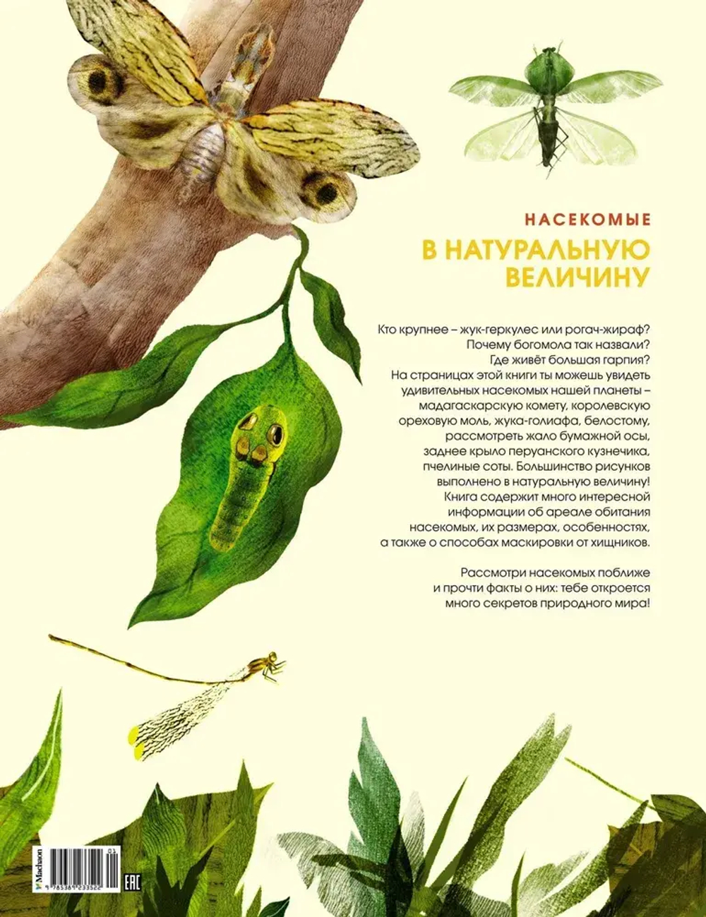 Насекомые в натуральную величину