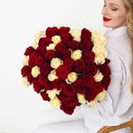 101 Роза красно-белая Эквадор 60см.