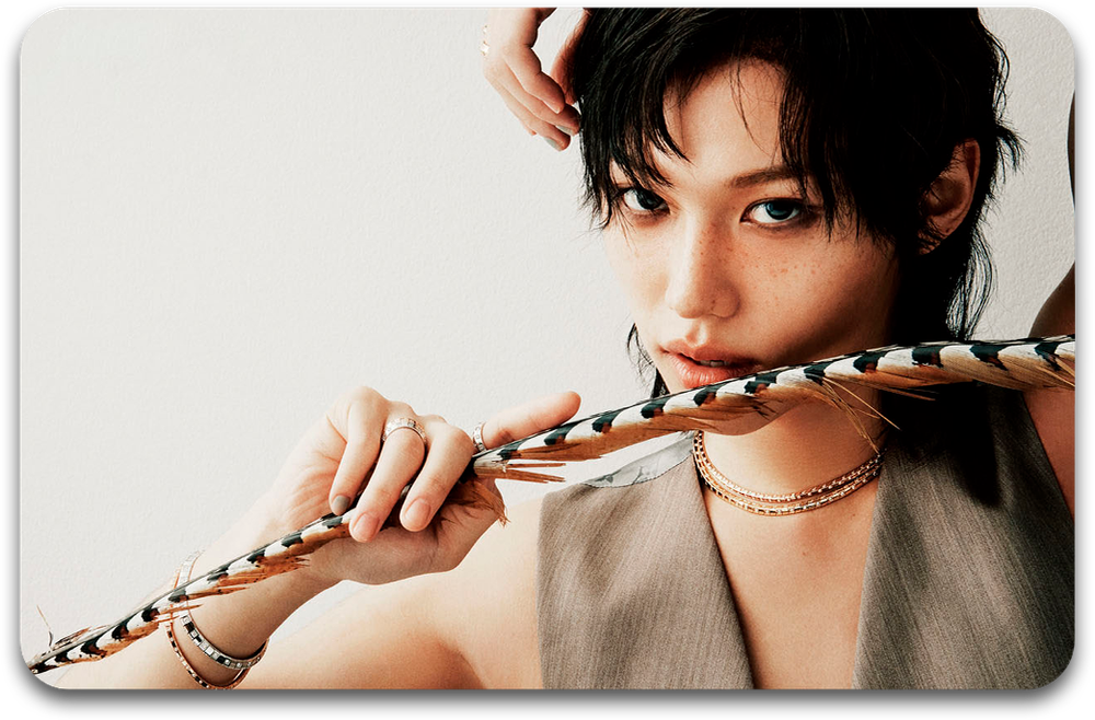 Карта / STRAY KIDS #5221