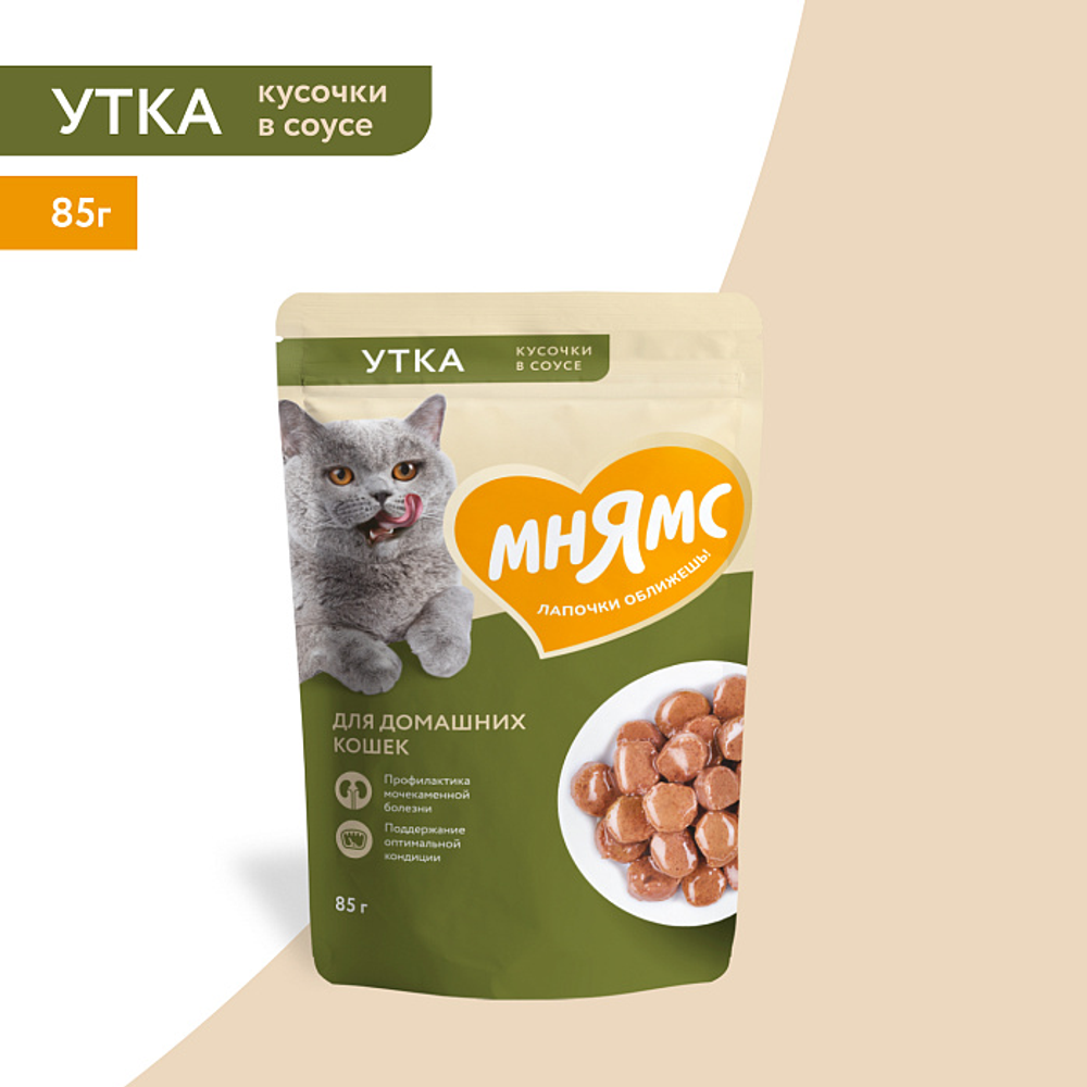Влажный корм Мнямс На каждый день Кусочки в соусе с уткой для домашних кошек 85 г