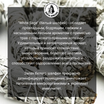 WHITE SAGE индийские благовония-палочки (Shiva Special)