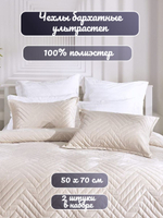 Наволочка декоративная, чехол на подушку на молнии, 2 шт, бархат, 50х70 см