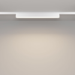Трековый магнитный светильник Maytoni Basis TR080-1-18W4K-W
